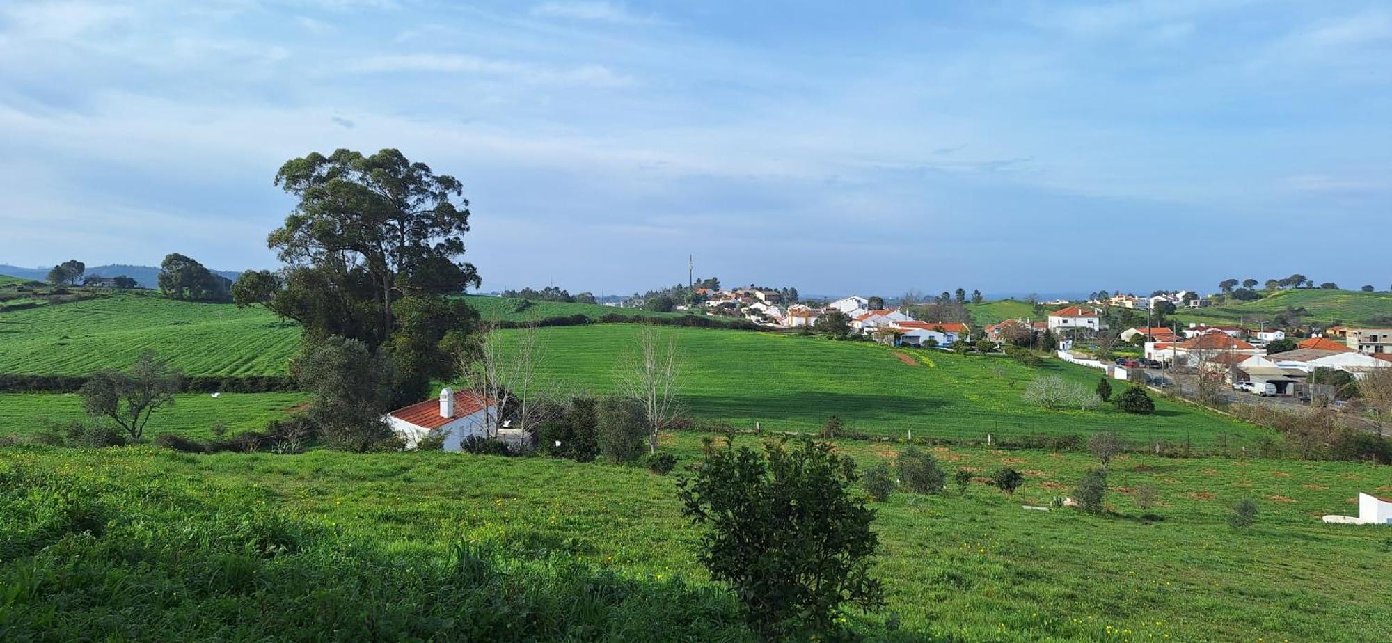 Portela Guesthouse Cercal do Alentejo Extérieur photo